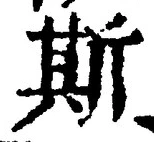 文字斯
