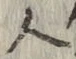 「人」字