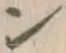 字ン
