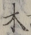 𡨸木