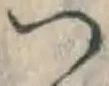 字つ