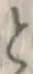 文字と