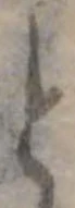 位置 確認된 と