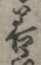 已定位善