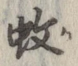 位置 確認된 蚊
