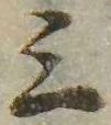 位置 確認된 三
