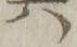 字其