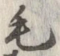 毛 위치 확인됨