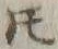 글자 𪜈
