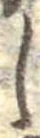 𛁅 위치 확인됨