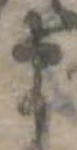位置定マレル𛃄