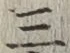 文字三