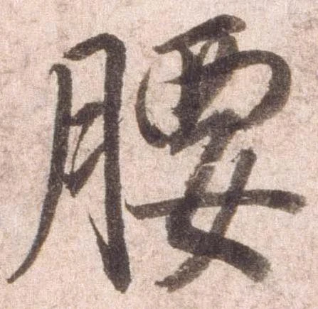 已定位腰