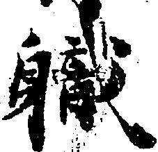 已定位職