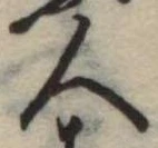 位置 確認된 人