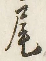 尾 위치 확인됨