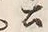 글자 公