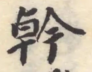 幹の位置