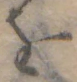 位置定マレル𛄜