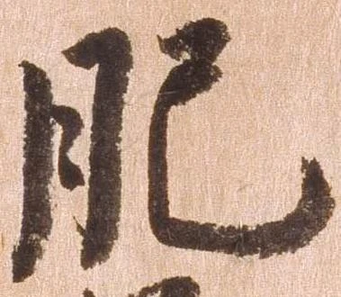 已定位肥