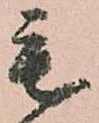 毛 위치 확인됨