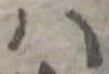 𛂞 위치 확인됨