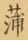 文字蒲