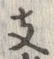 支の位置