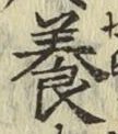 Chữ 養