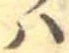 𛂞 위치 확인됨