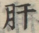 글자 肝