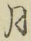 글자 月