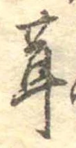 茸 위치 확인됨