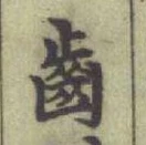 文字齒
