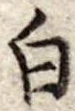 白 위치 확인됨