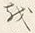 「𛄚」字