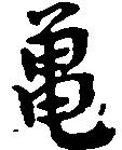 已定位亀