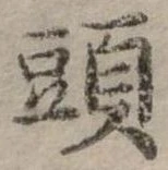 頭 위치 확인됨