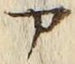 「ア」字