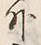 Chữ 外