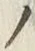 字ノ