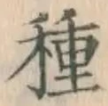 글자 種
