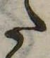 𛁠 위치 확인됨