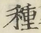 글자 種