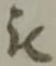 位置定マレル被