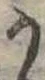 Đã định vị 𛀚