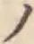 字ノ