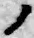 字ノ
