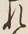 Character れ