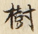 글자 樹